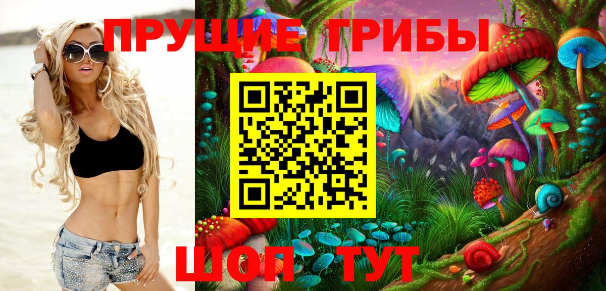 Псилоцибиновые грибы прущие грибы  Псилоцибиновые грибы прущие грибы  Вход с VPN  Александров 